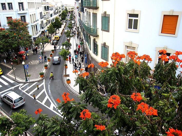 Rua Fernão Ornelas