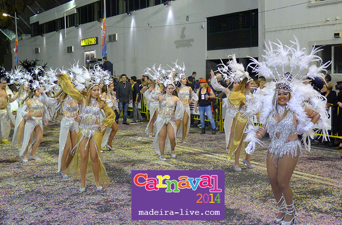 Carnevale di Madeira 2014