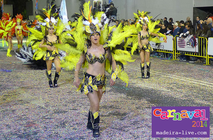 Carnaval de Madère 2014