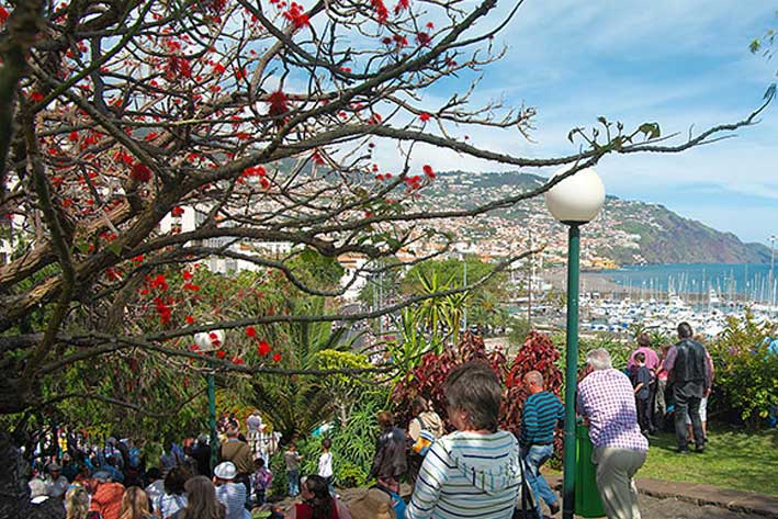 Madeira Flower Festival